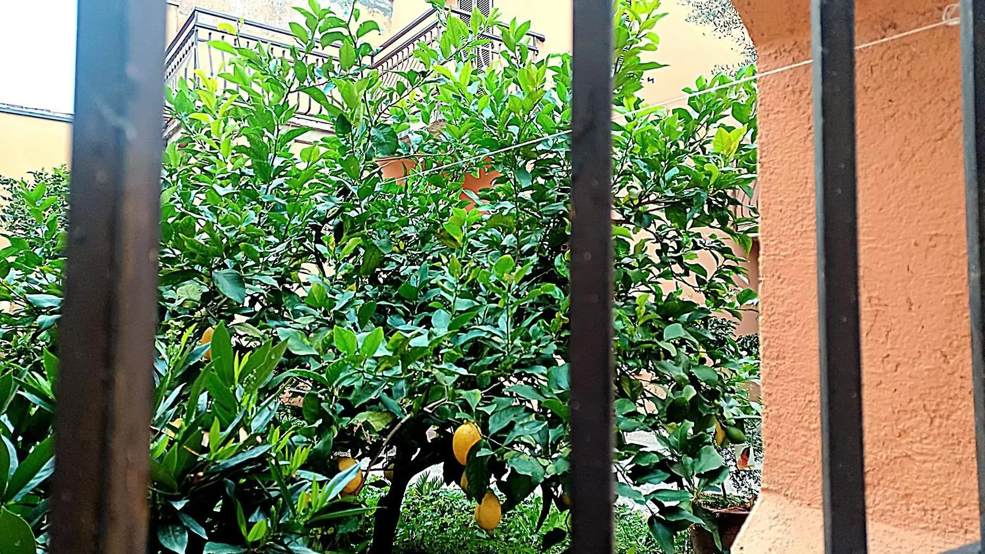 Appartamento Gardalemonhouse Desenzano del Garda Italia